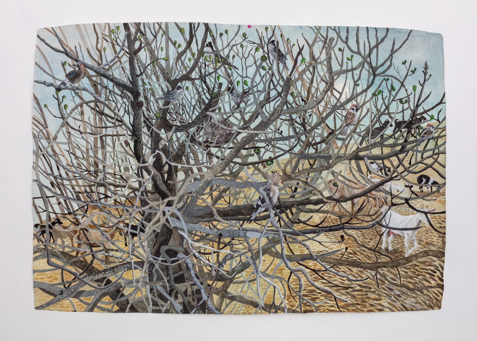 Sophie Charalambous, Winter Landscape with Fig Tree, 2024