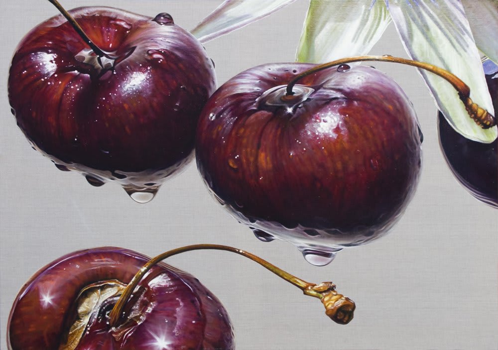 Anne Middleton, Prunus Avium, 2012