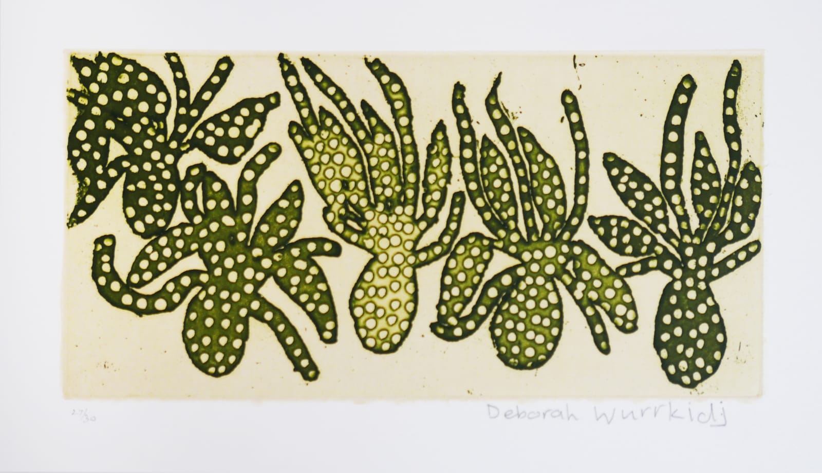 Deborah Wurrkidj, Untitled, n.d.