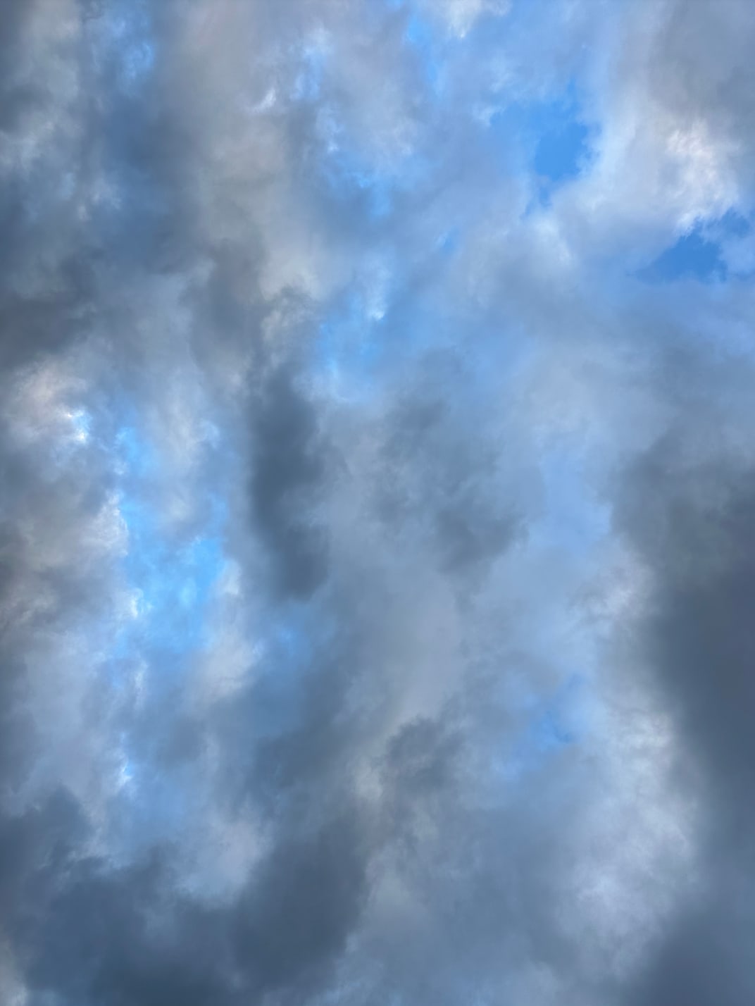 Raphael Avigdor, Arctic Frost, 2025