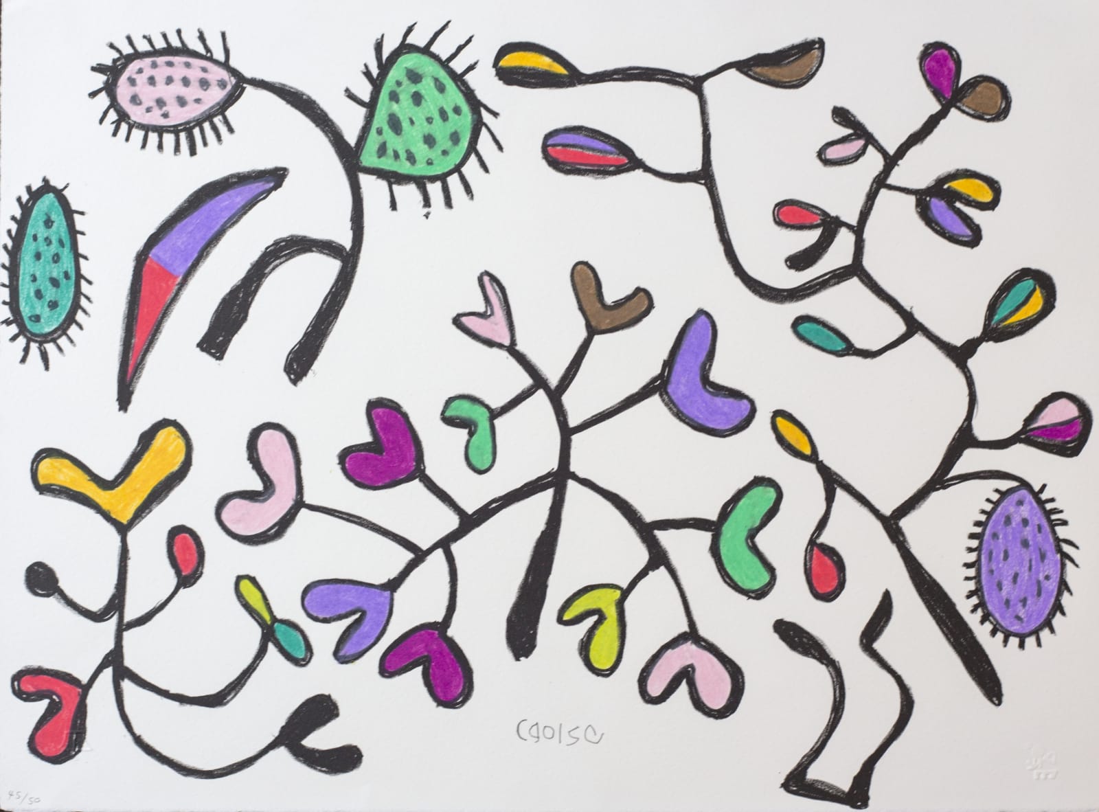 Cgoise, Jujubu & Nxam Veldfood, 1999