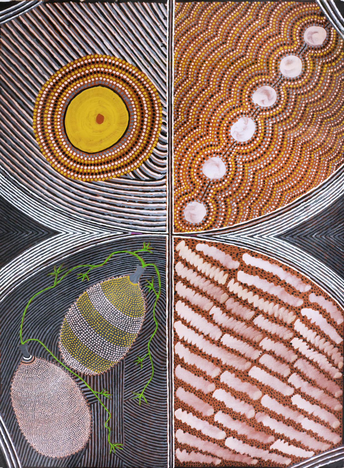 Janangoo Butcher Cherel, Mayi, Boonga, Wanggoo and Gamba, 1998