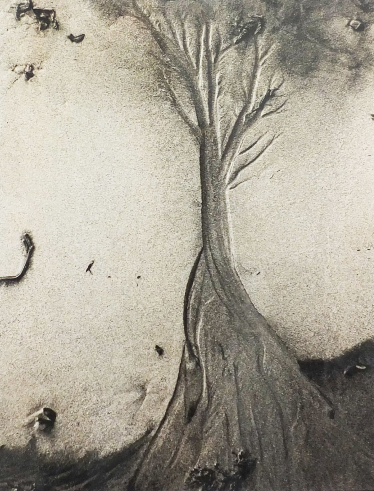 John Cato (c.1926-2011), Seawind #13, 1971 - 1973