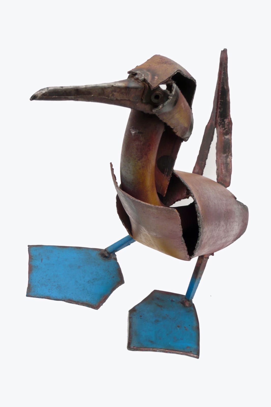 Iain Nutting, Blue Footed Booby, 2015