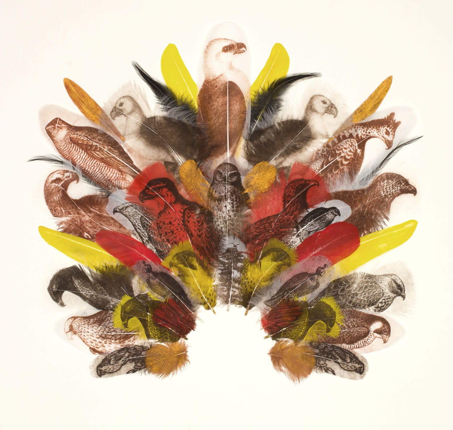 Rebecca Jewell, Falconer's Headdress, 2014
