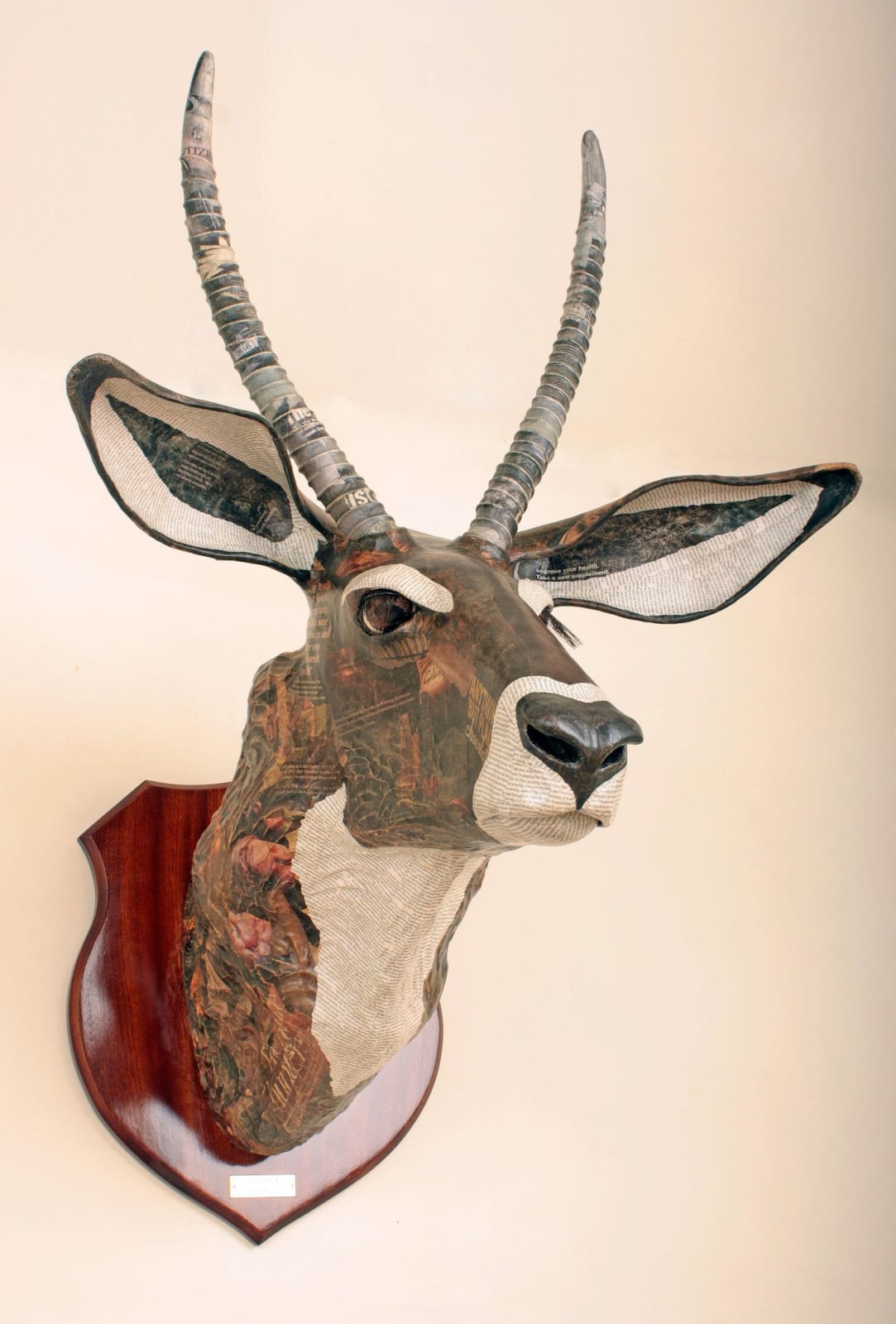 David Farrer, Waterbuck, 2012