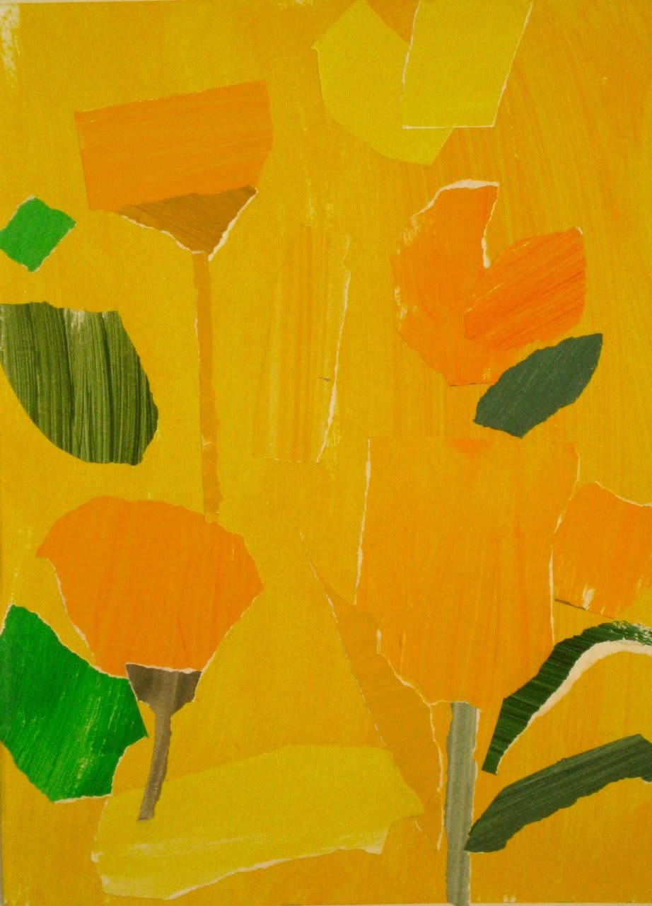 James Farrelly, Daffodils