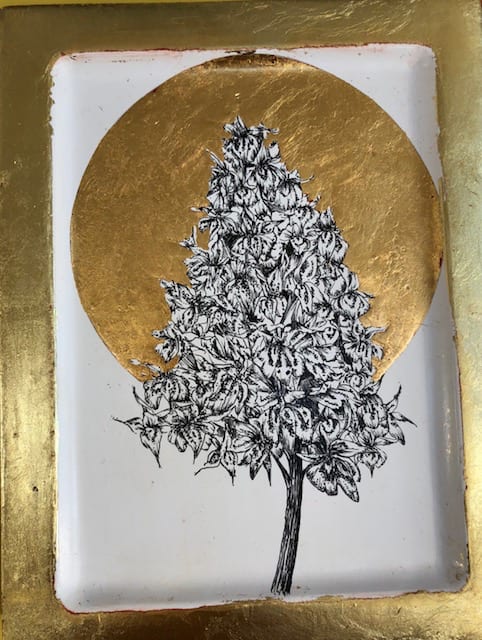 Sarah Hiscox, Wild Orchid, 2017