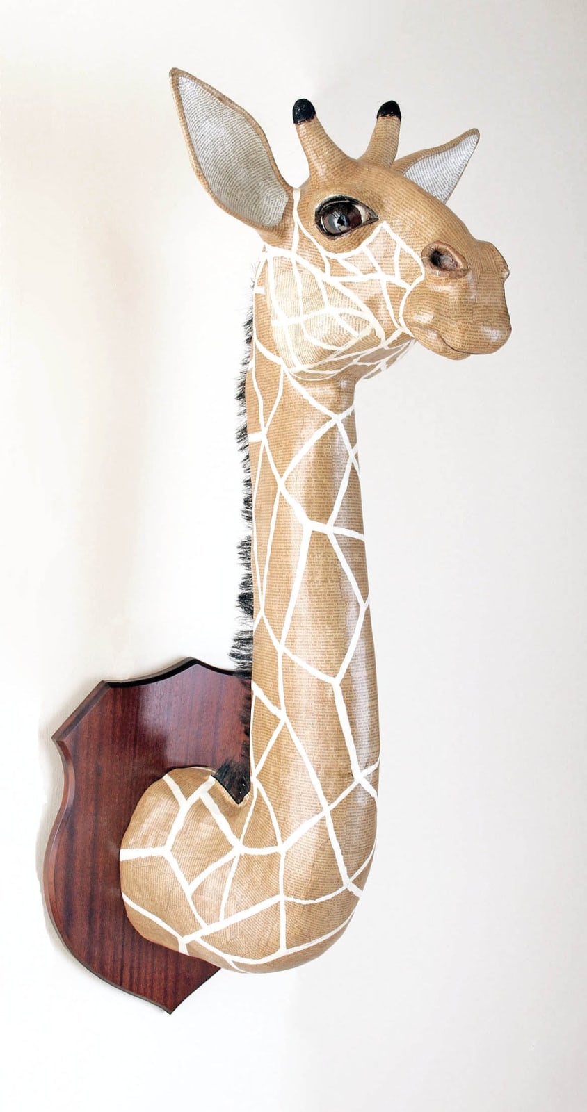 David Farrer, Reticulated Giraffe, 2013