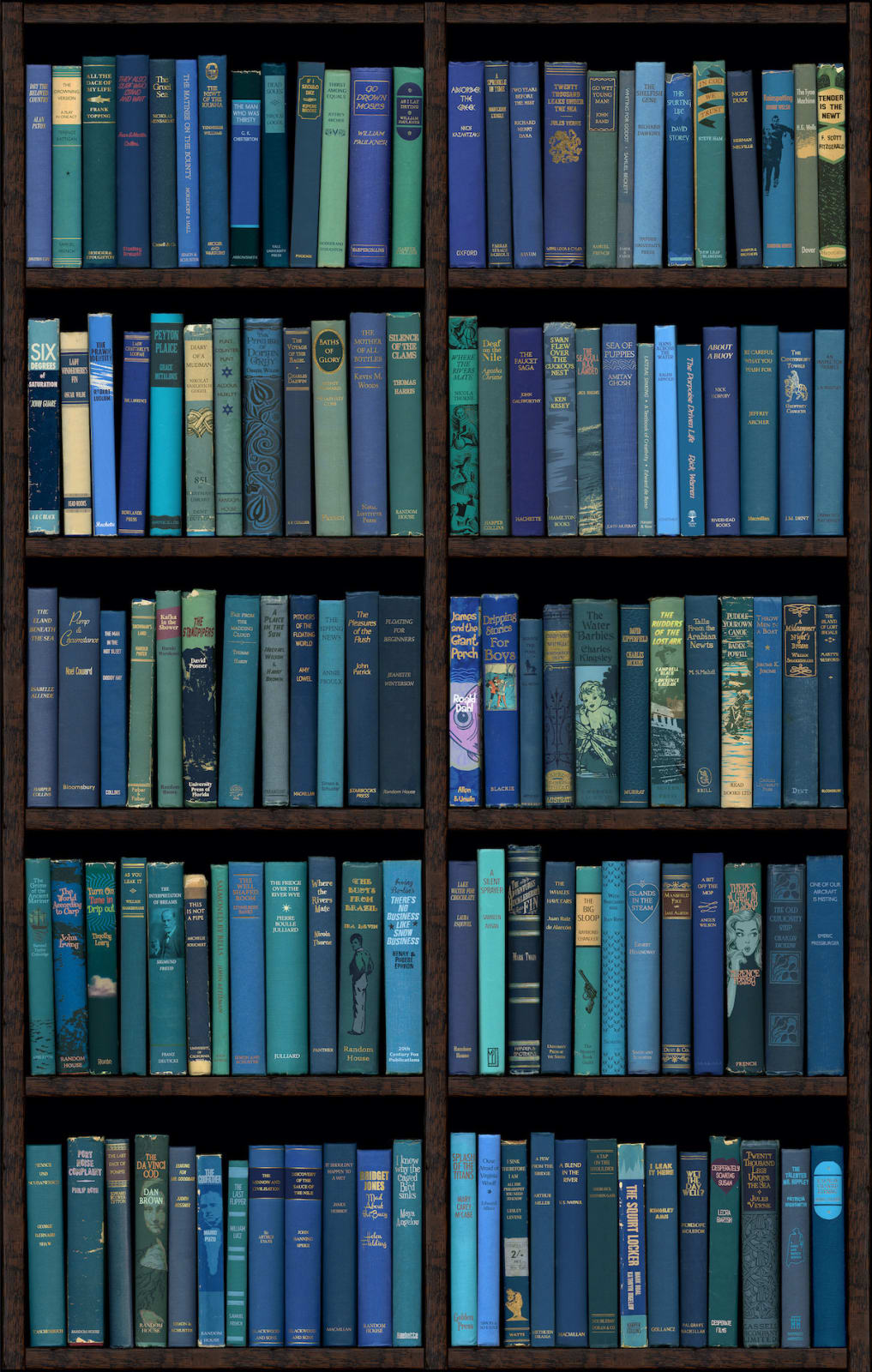 Conceptual blue bookshelf print containing titles related to aquatic life by acclaimed British artist Phil Shaw represented by Rebecca Hossack Art Gallery.