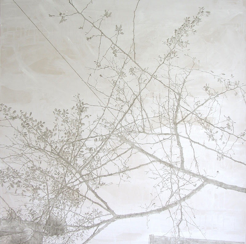 Melanie Goemans, Rosario Cottages, 2014