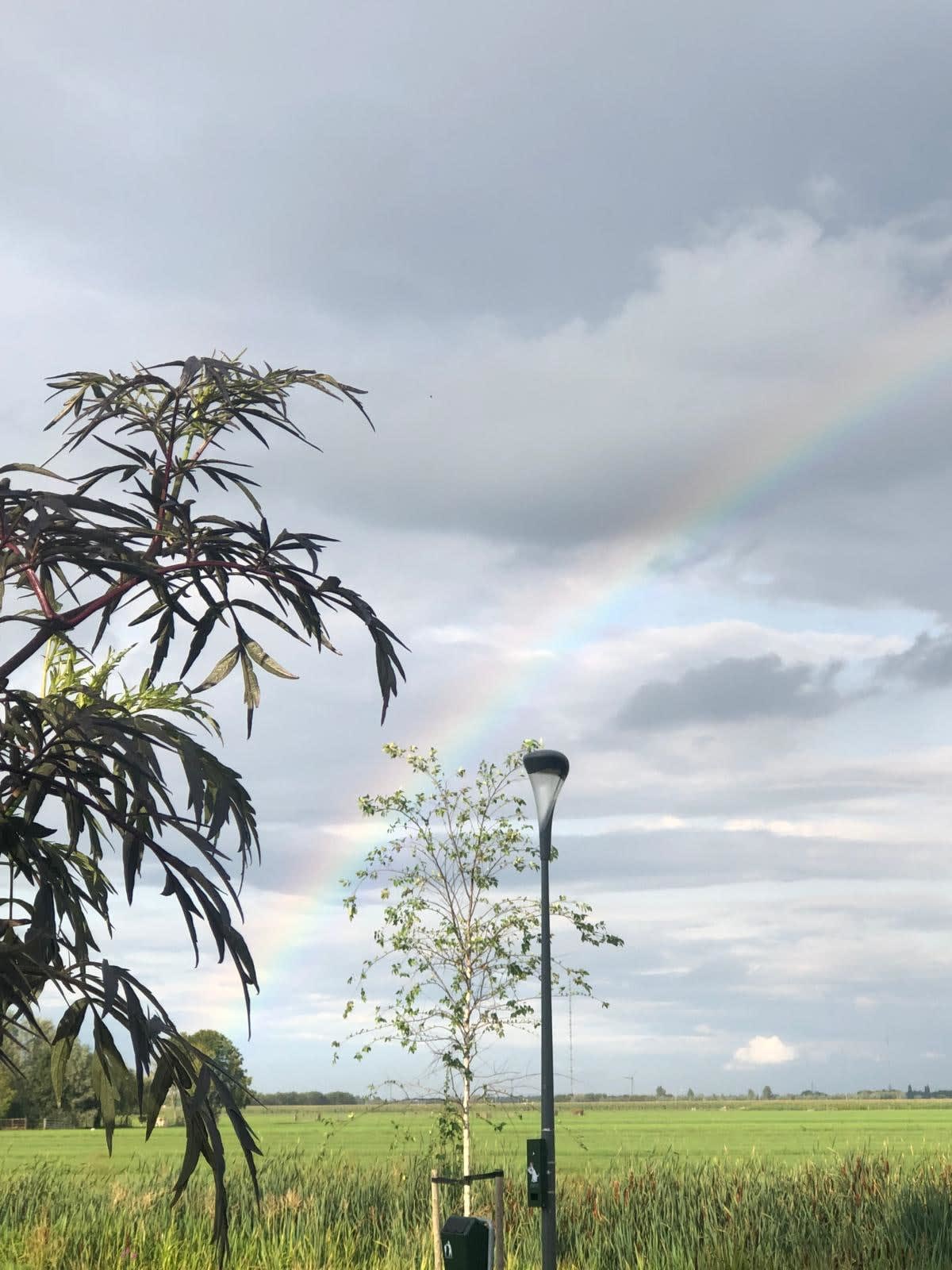 Esther Nienhuis, Studio Shot