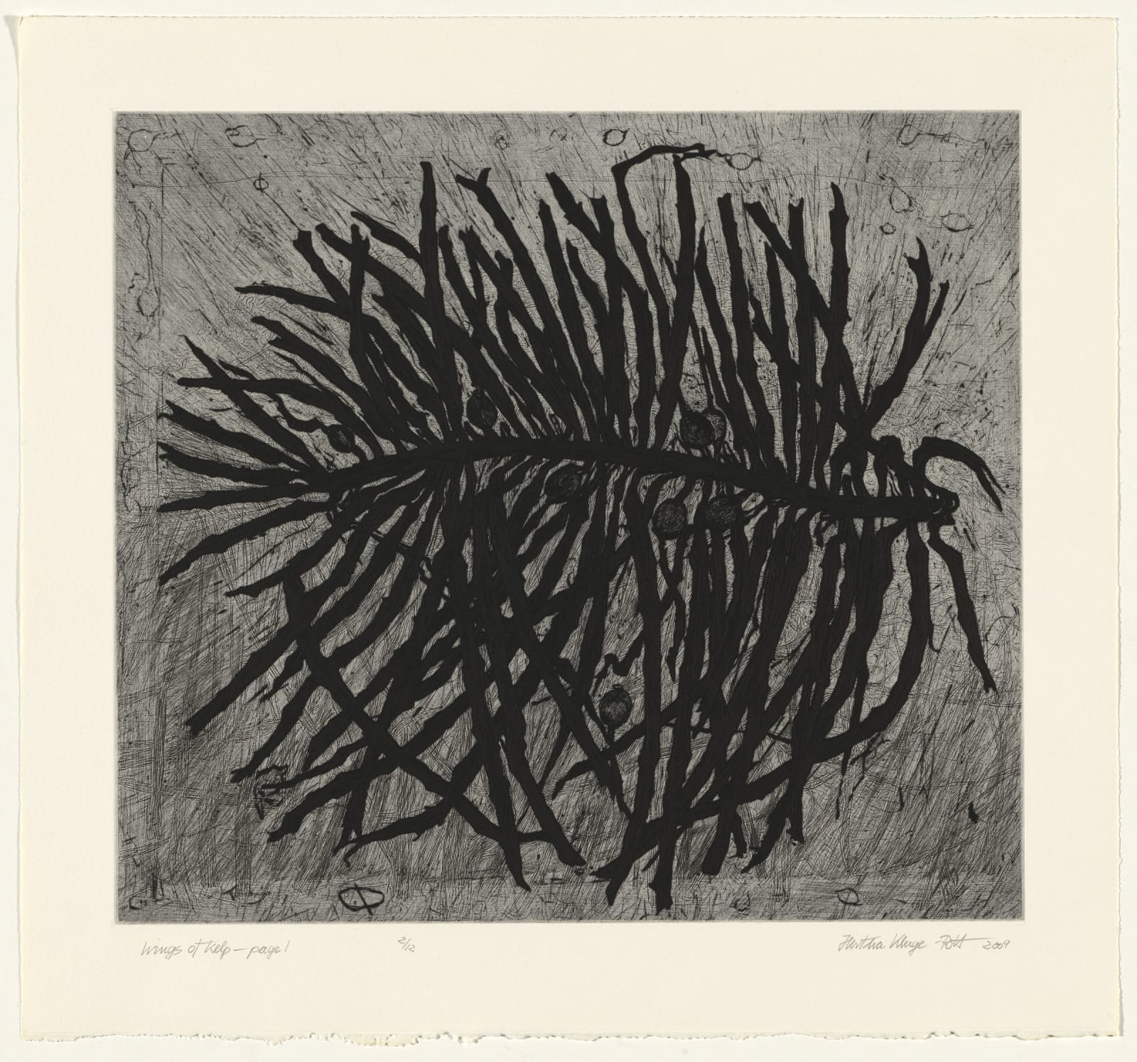 Hertha Kluge-Pott, Wings of Kelp - page 1, 2009