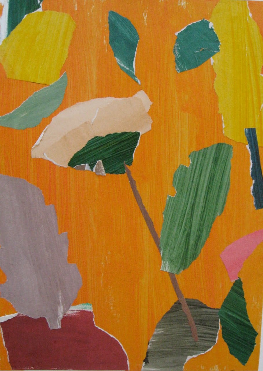 James Farrelly, Blush