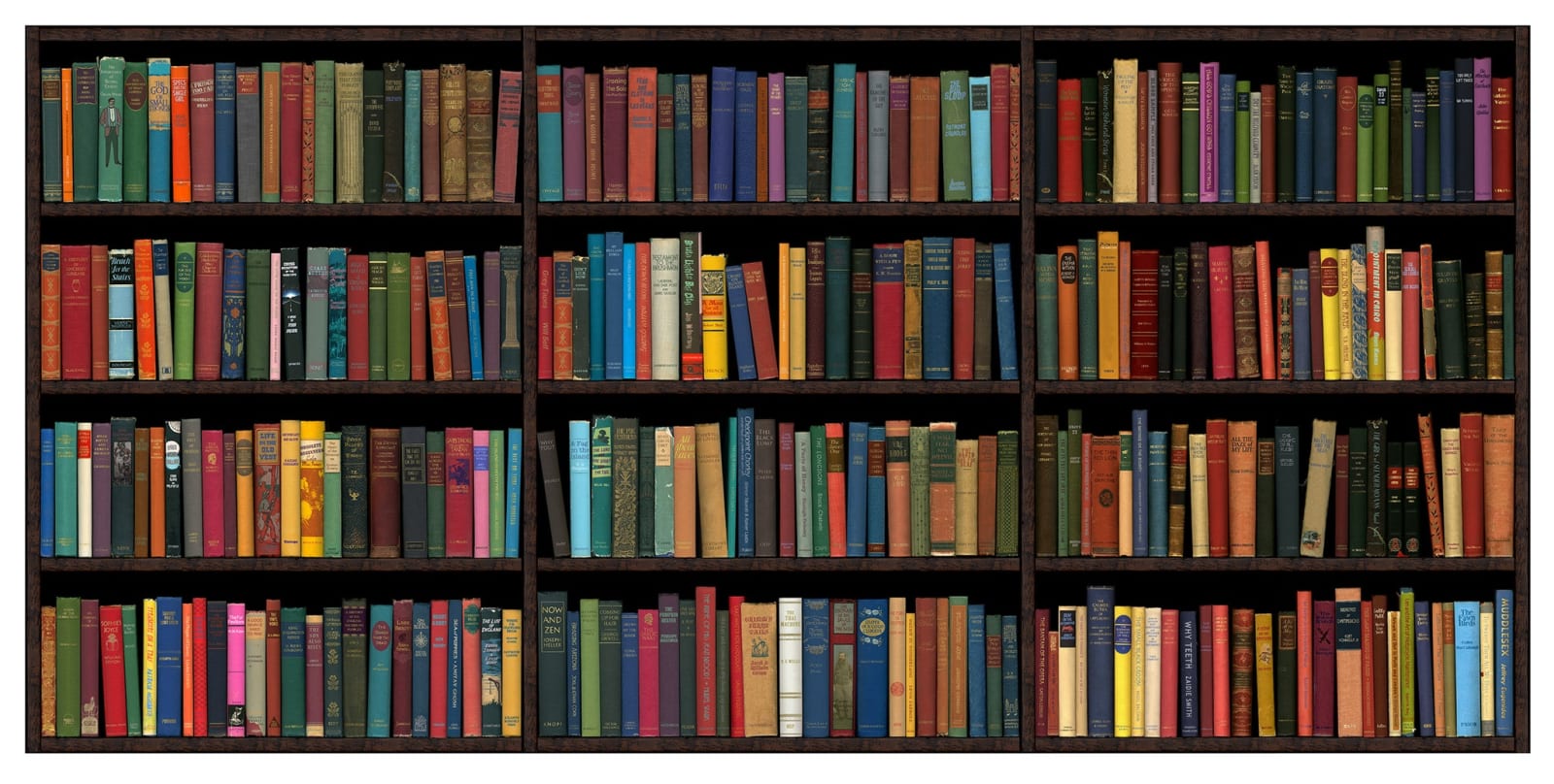 Conceptual bookshelf print containing colorful books with various titles by acclaimed British artist Phil Shaw represented by Rebecca Hossack Art Gallery.