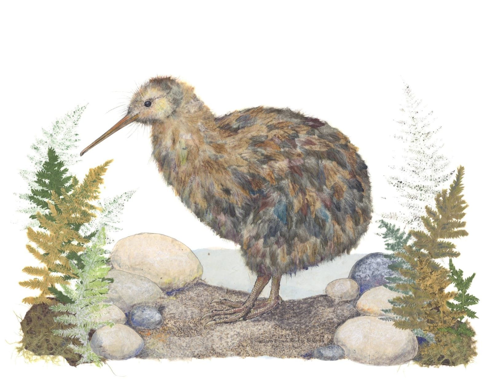 Alexandra Milton, Kiwi Bird, 2014