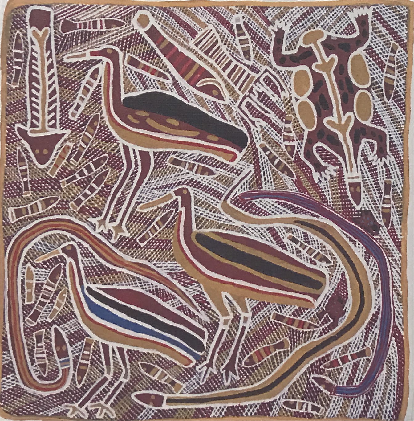 Amy Johnson, Sambo Barra Barra, Water Life , 1995