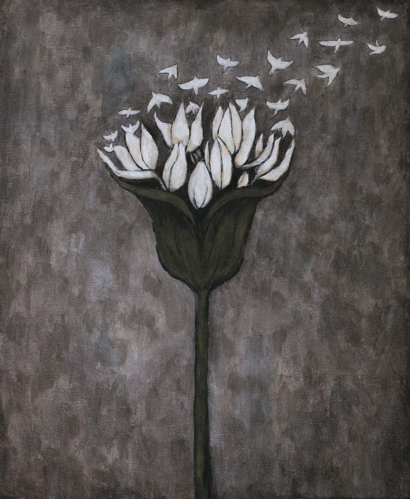 Rebecca Rebouché, Night Blooming, 2014