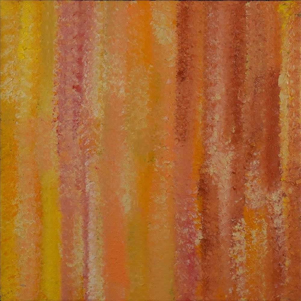 Ruth Nungarrayi Spencer, Wardapi Jukurrpa (Goanna Dreaming)- Yarripurlangu, 2016