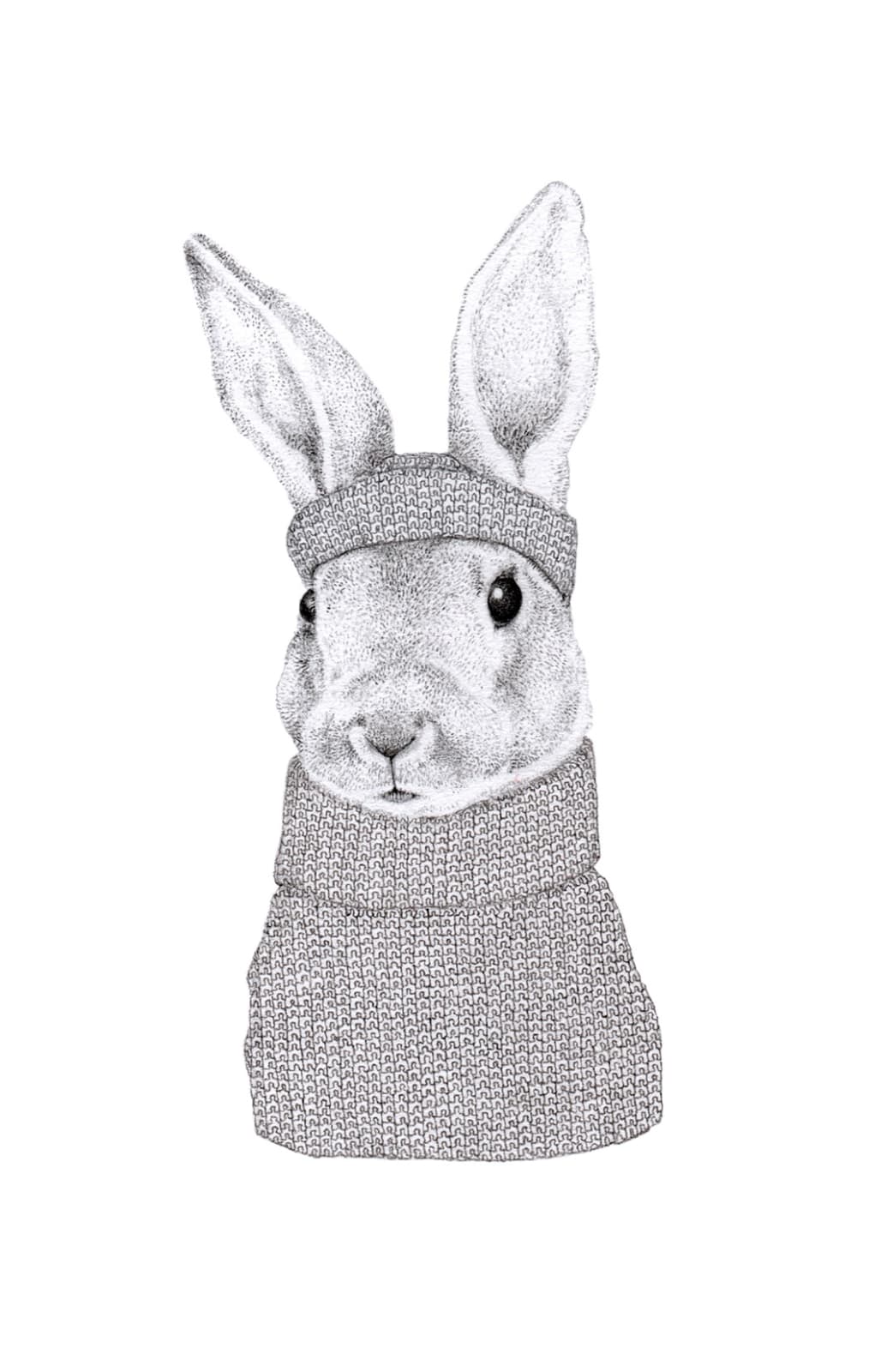 Jackie Case, Knitted Bunny, 2014