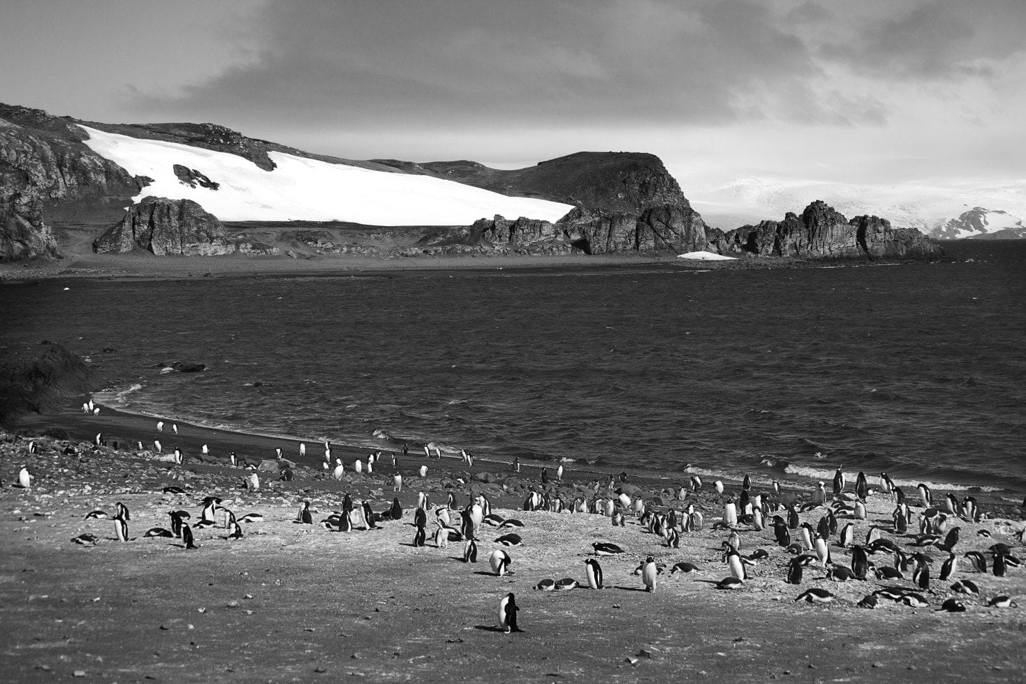 Garlinda Birkbeck, San Tropez, 2012