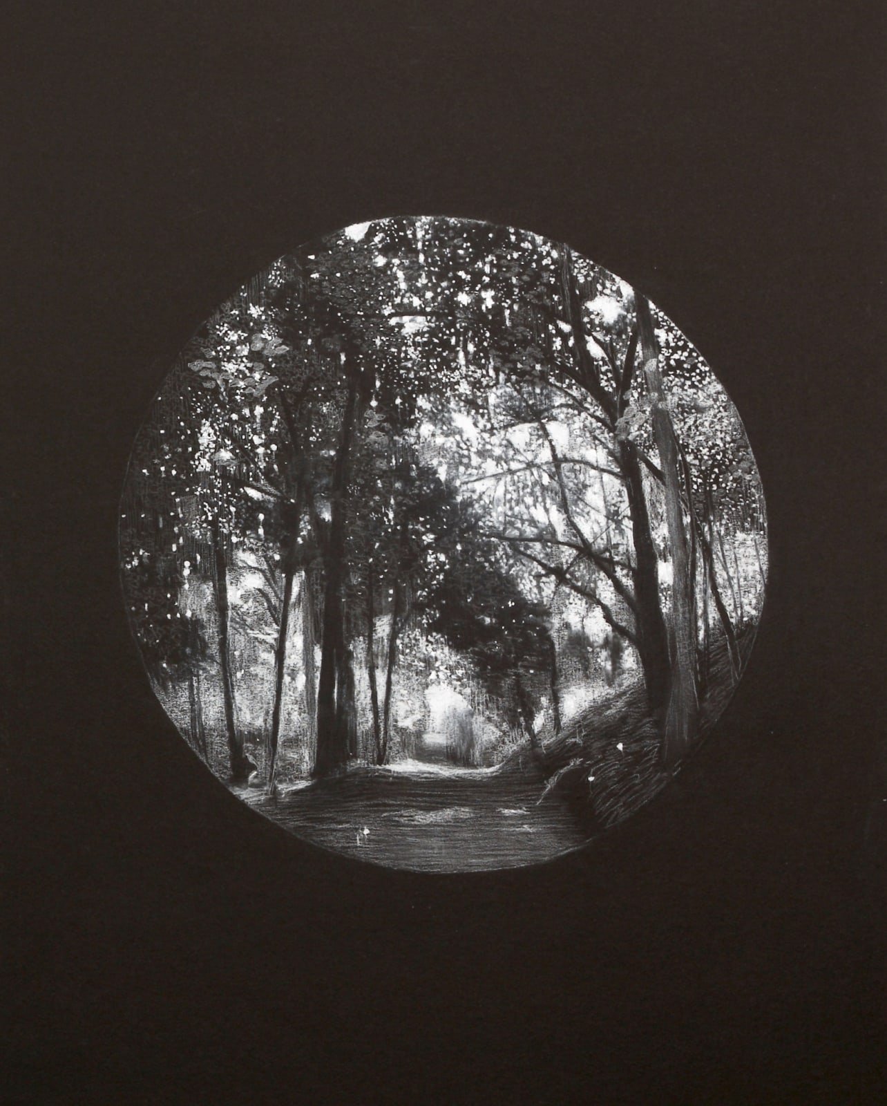 Sheila Clarkson, Treelight, 2015