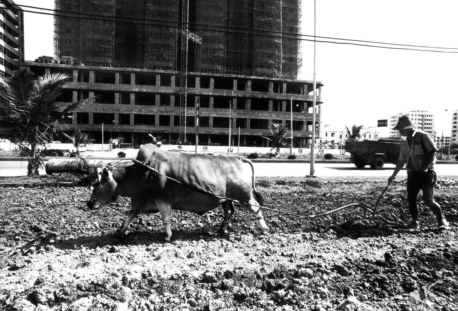 Unknown Artist, Untitled, 1989