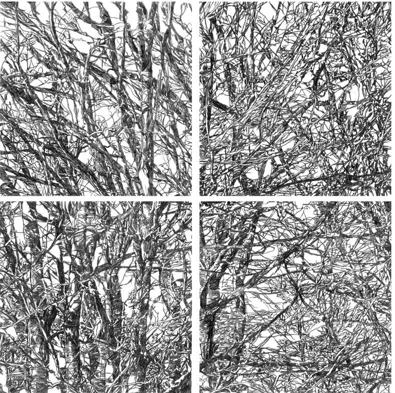 Patricia Cain, Beech Coppice Panel IIIA, 2017