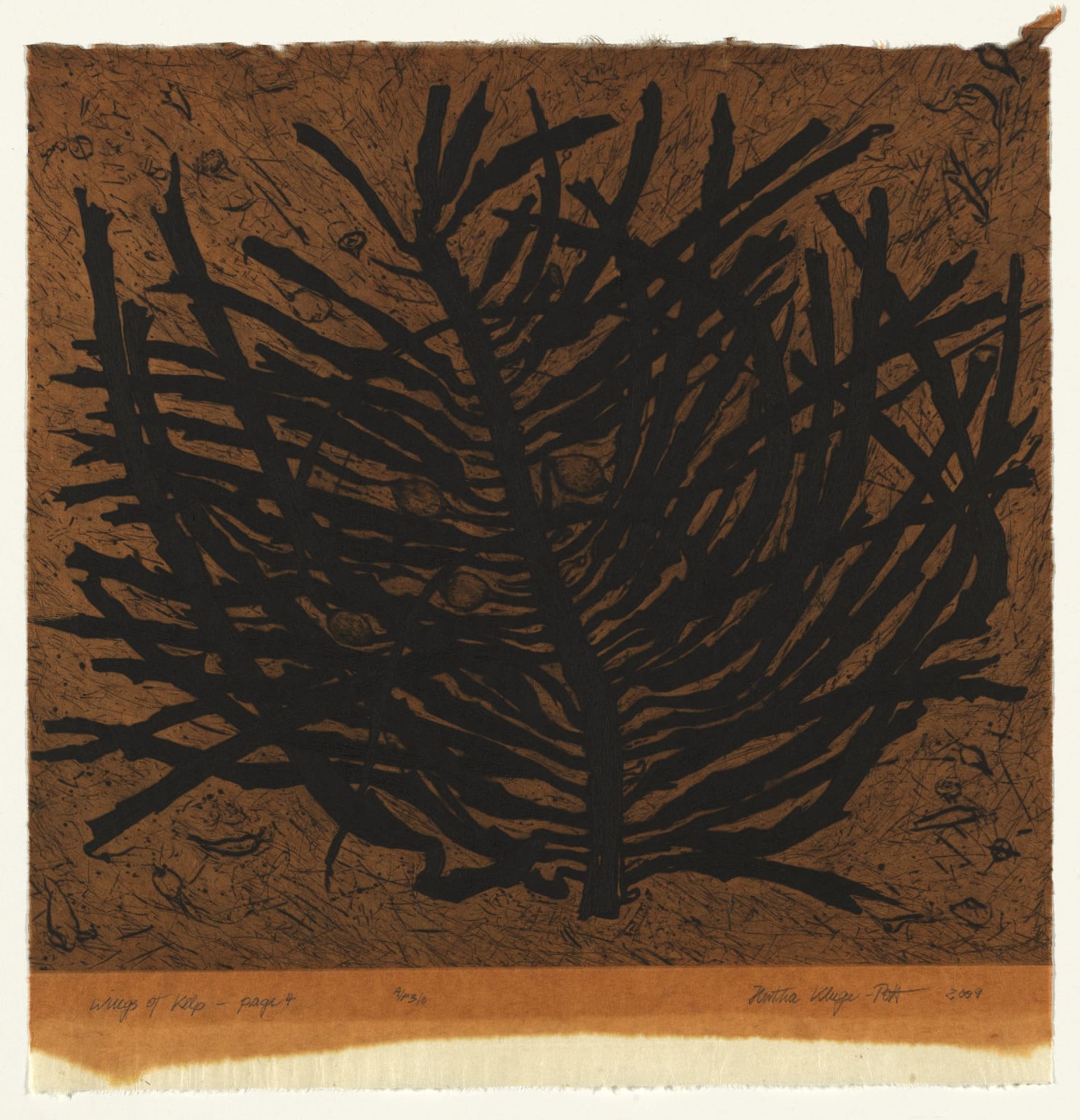 Hertha Kluge-Pott, Wings of Kelp - page 4, 2009