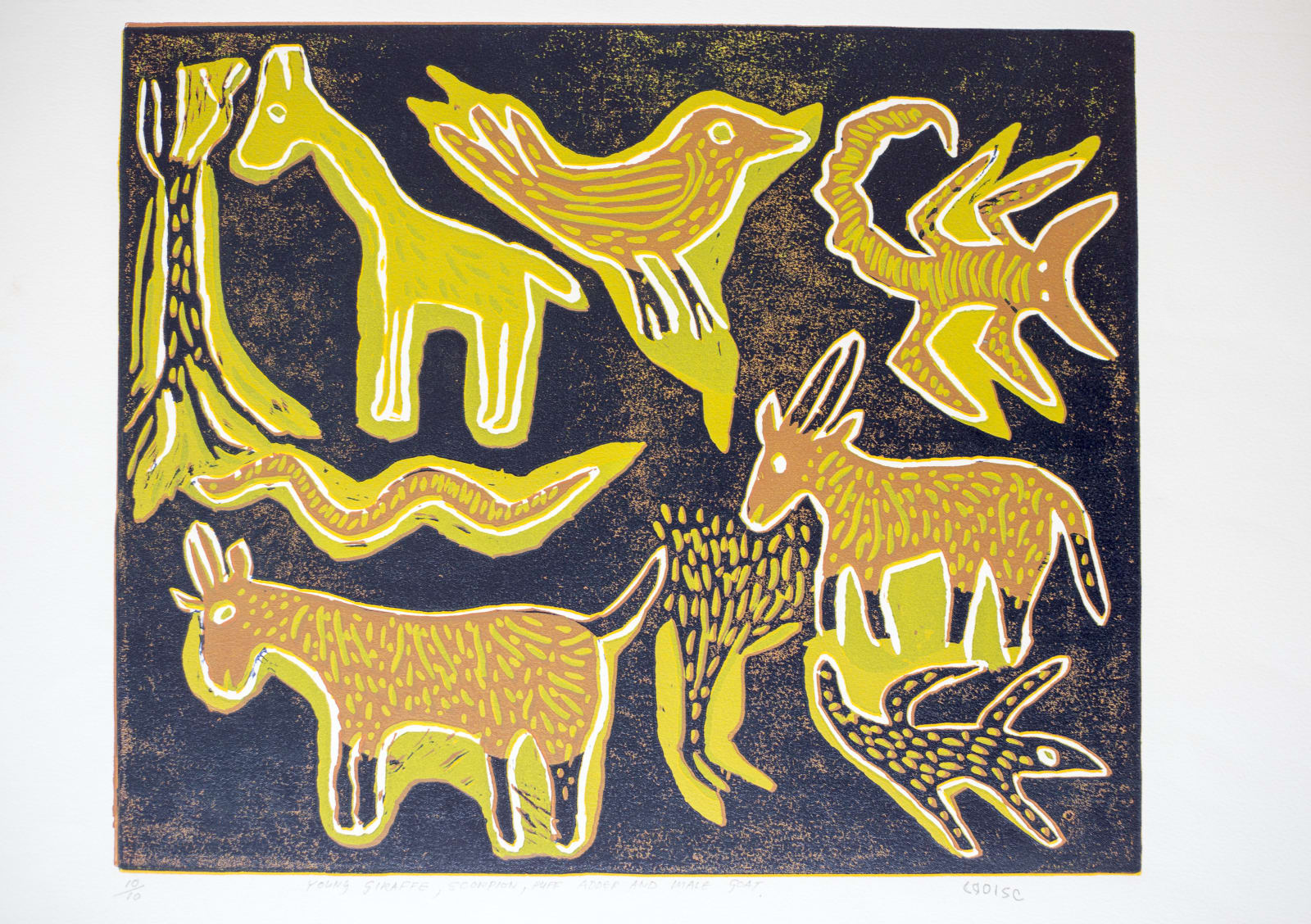 Cgoise, Young Giraffe, Scorpion, Puff Adder & Goat, c. 2000