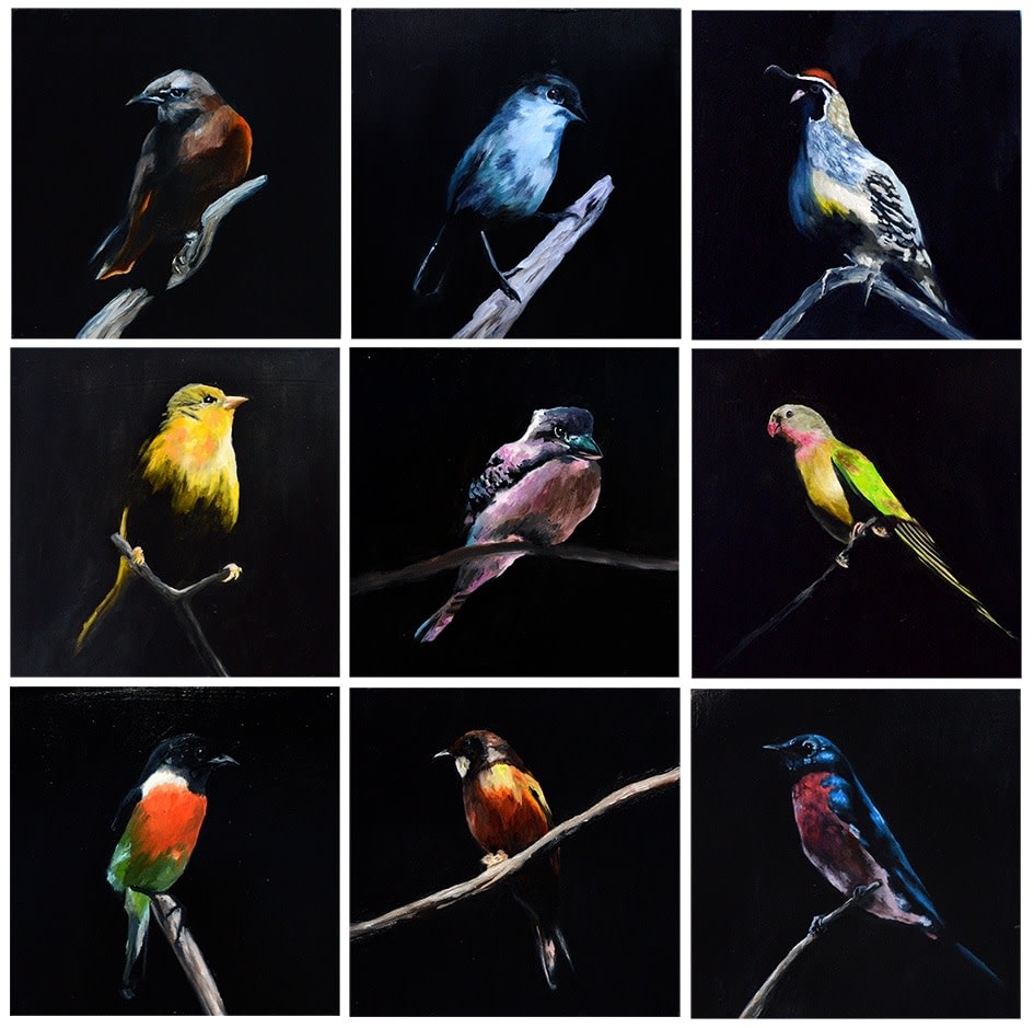 Datsun Tran, Birds, 2014