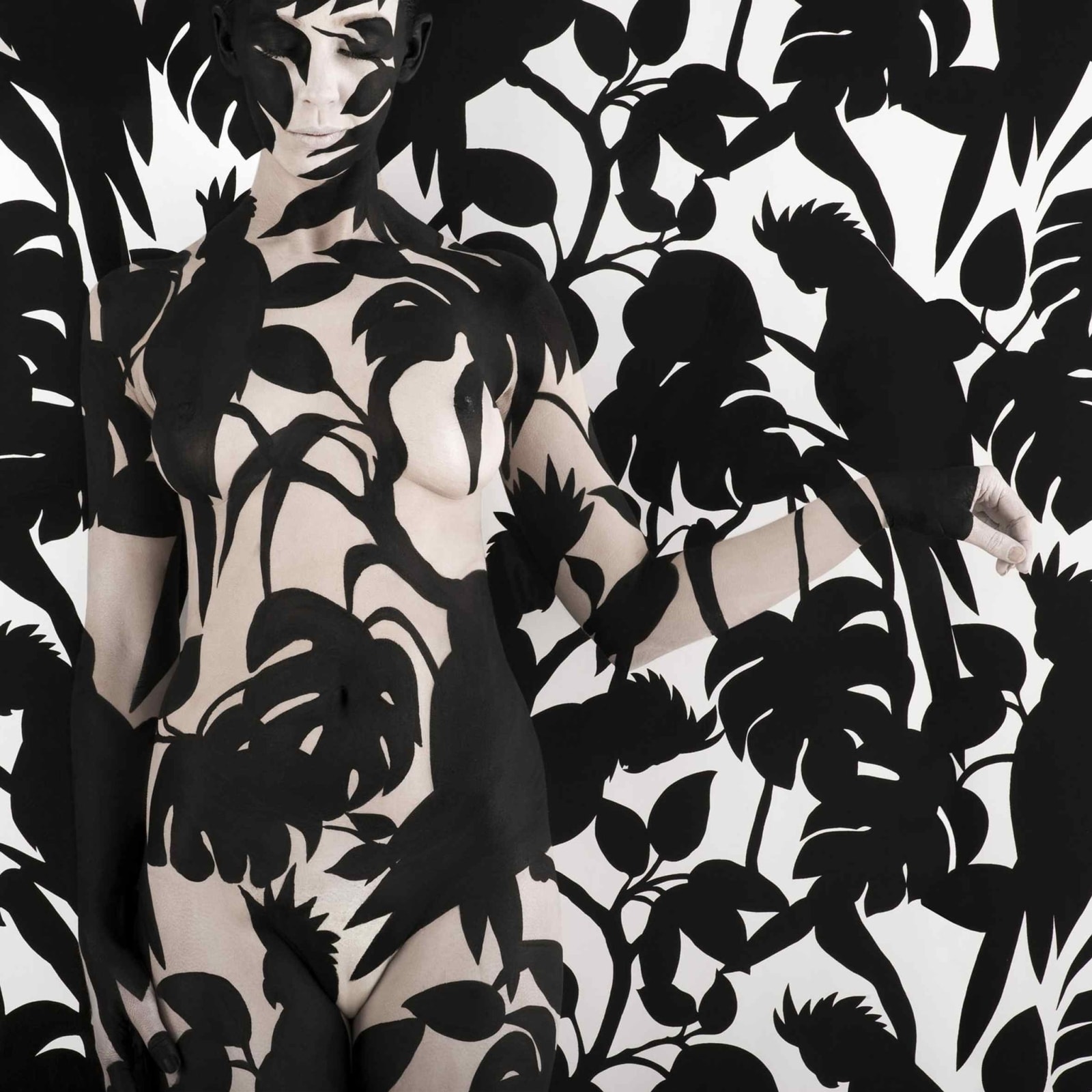 Emma Hack, Wallpaper Black Cockatoos, 2008