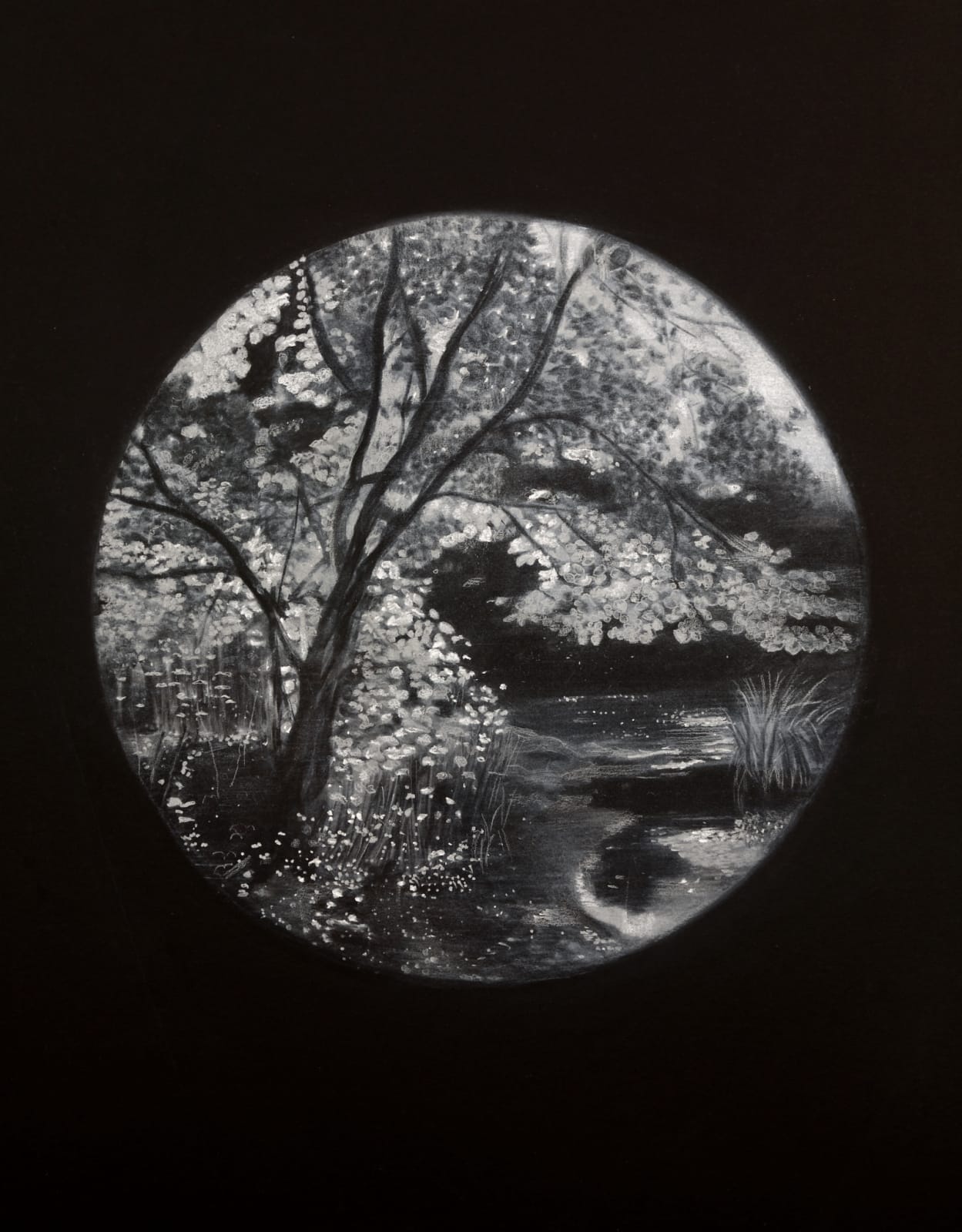 Sheila Clarkson, Illuminated Tree, 2015