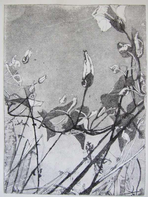 Melanie Goemans, Bindweed, 2013