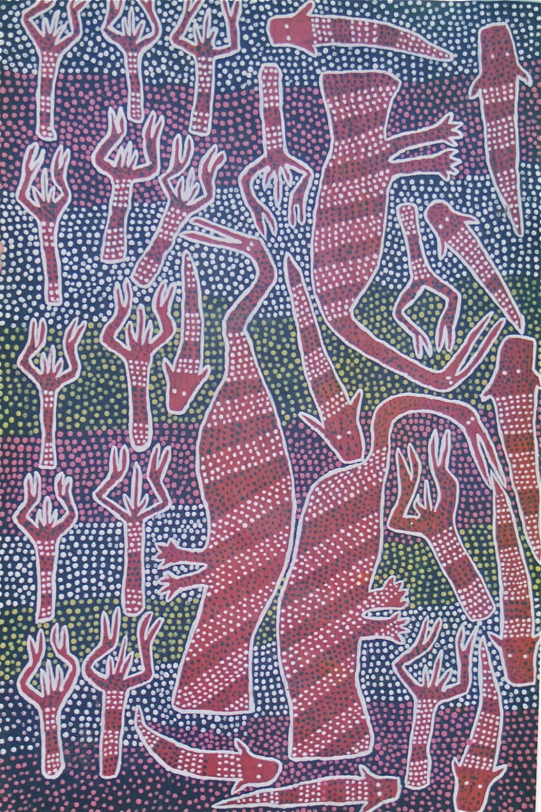 Sambo Barra Barra, Water Birds and Yabbies