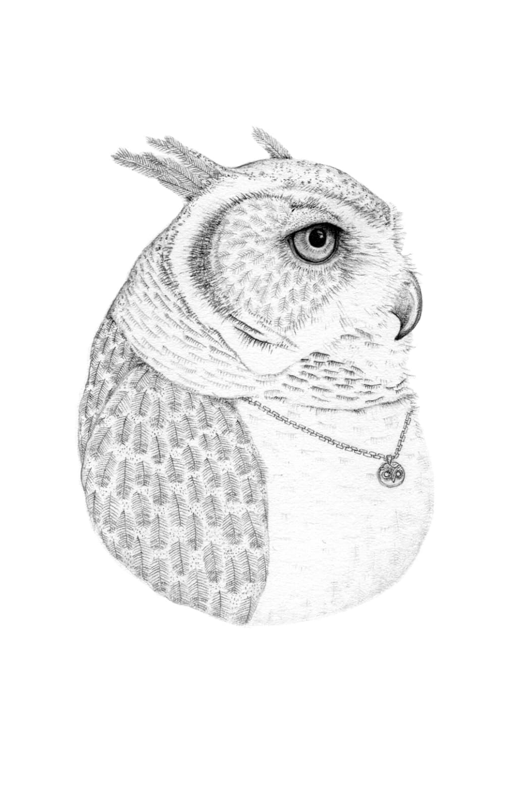 Jackie Case, Owl Wearing An Owl Pendant, 2014