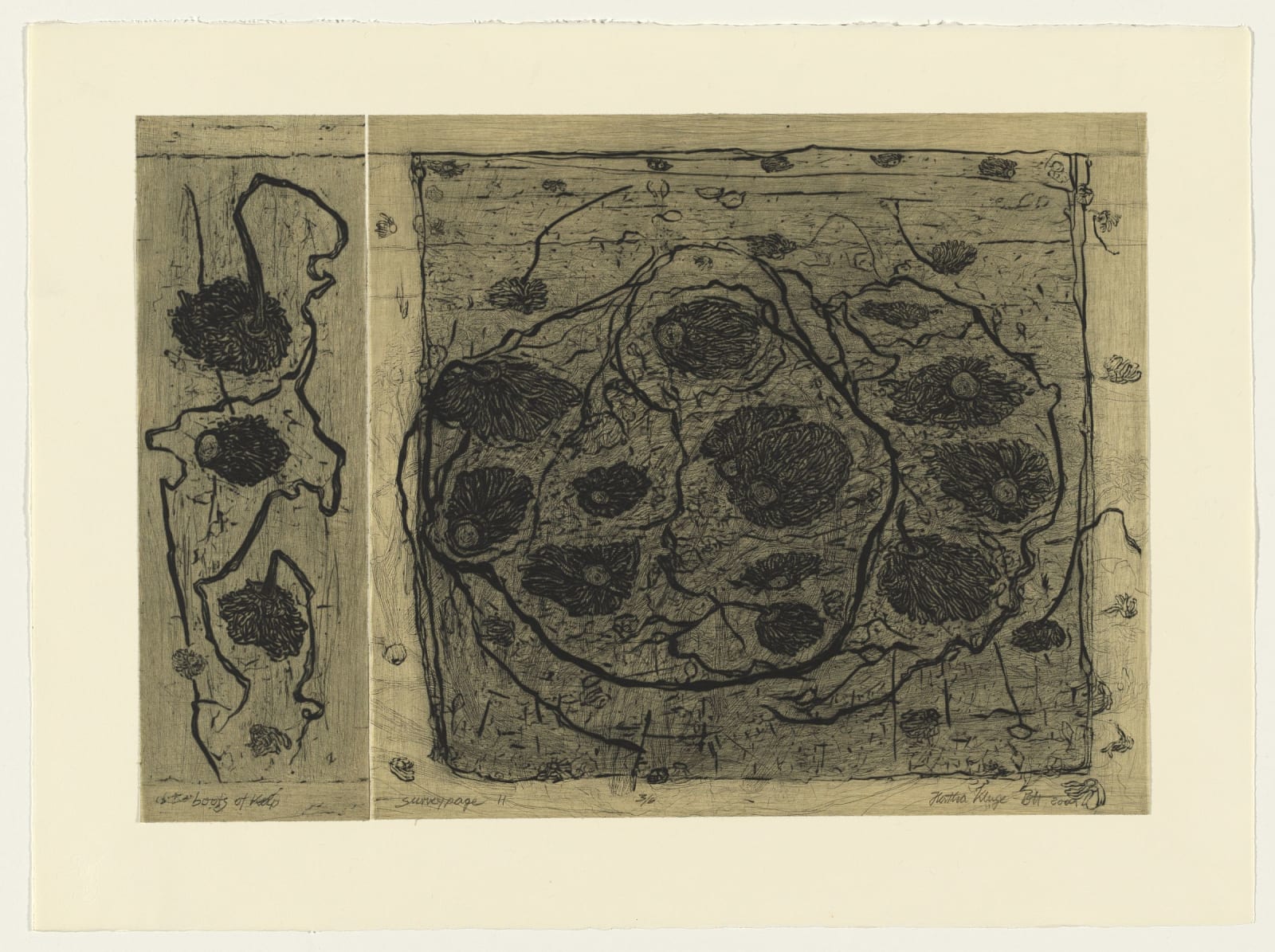 Hertha Kluge-Pott, Boots of kelp - survey page II, 2009