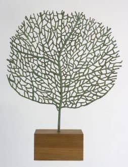 bronze sculpture of a tree by Abigail McLellan represented by Rebecca Hossack gallery