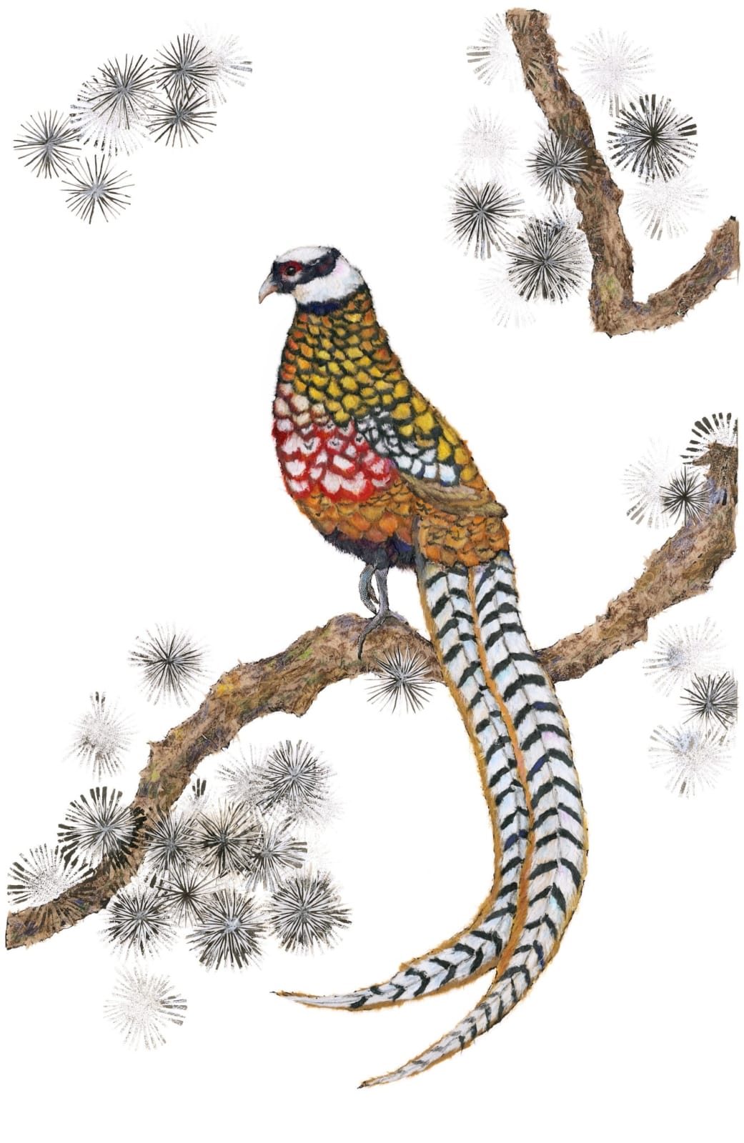 Alexandra Milton, Reeves Pheasant, 2014