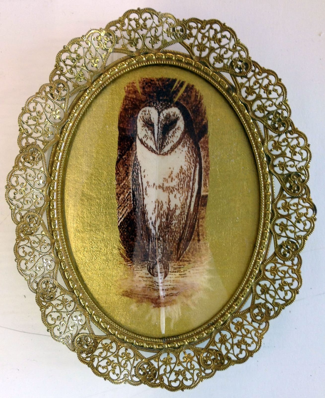 Rebecca Jewell, Barn Owl on Gold in Vintage Frame, 2014