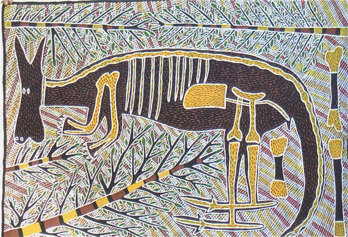 Sambo Barra Barra, The Kangaroo , 1995-96