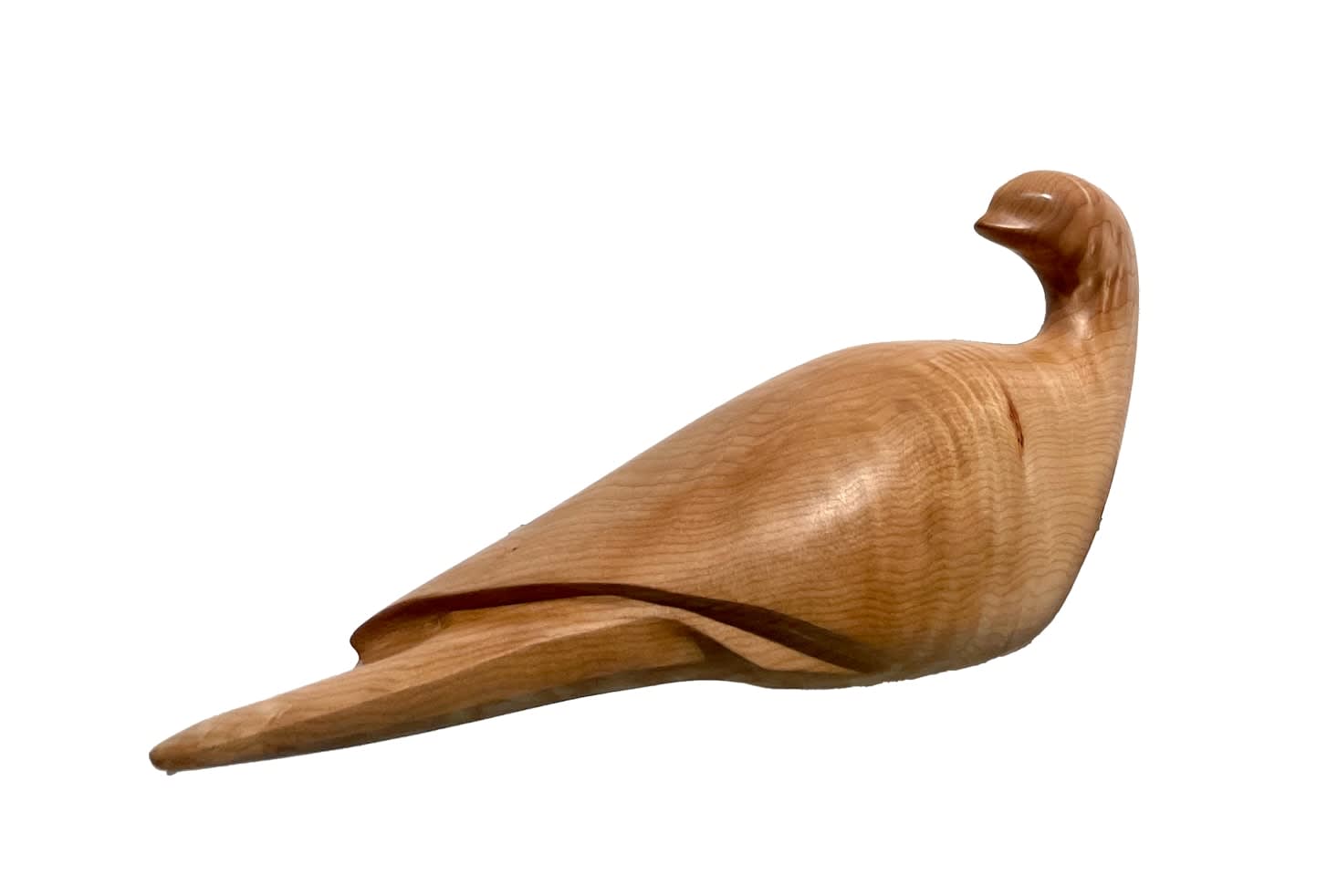 Andrew Vallee, Universal Dove, 2023