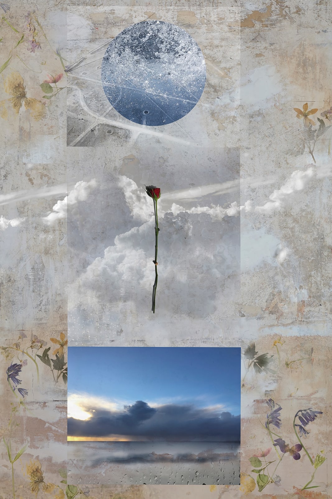 Artwork by photographer Luke White available at the Rebecca Hossack Art Gallery