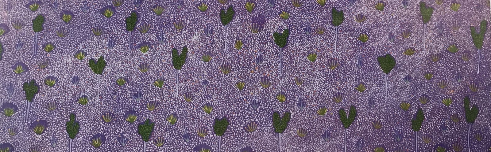 Artists of Ampilatwatja, My Country (Alana Holmes), 2011