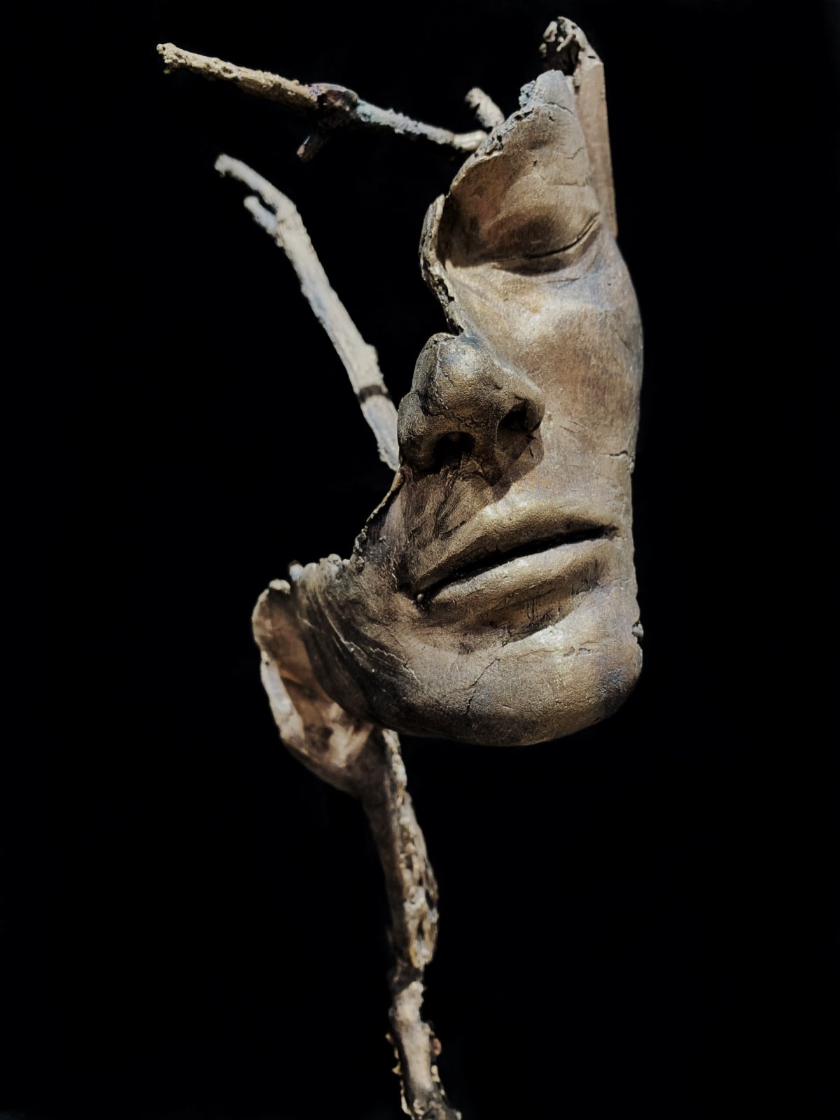Pablo Damian Cristi, Corteccia VI, 2023