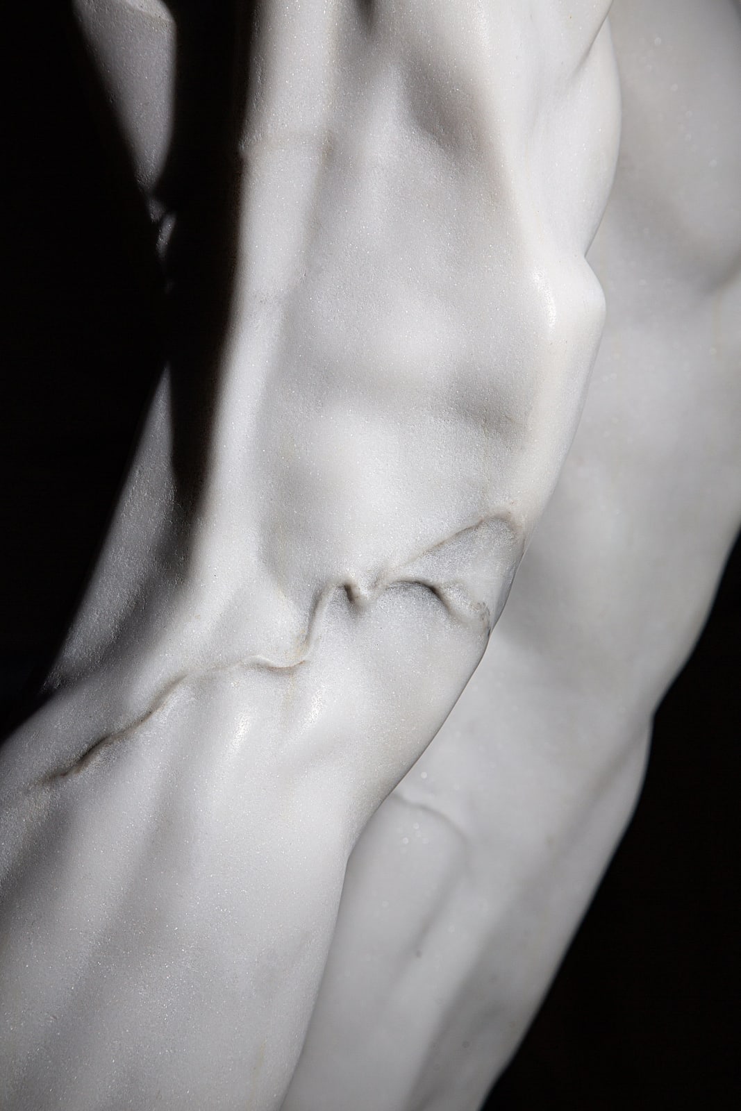 Pablo Damian Cristi, The Legs, 2023