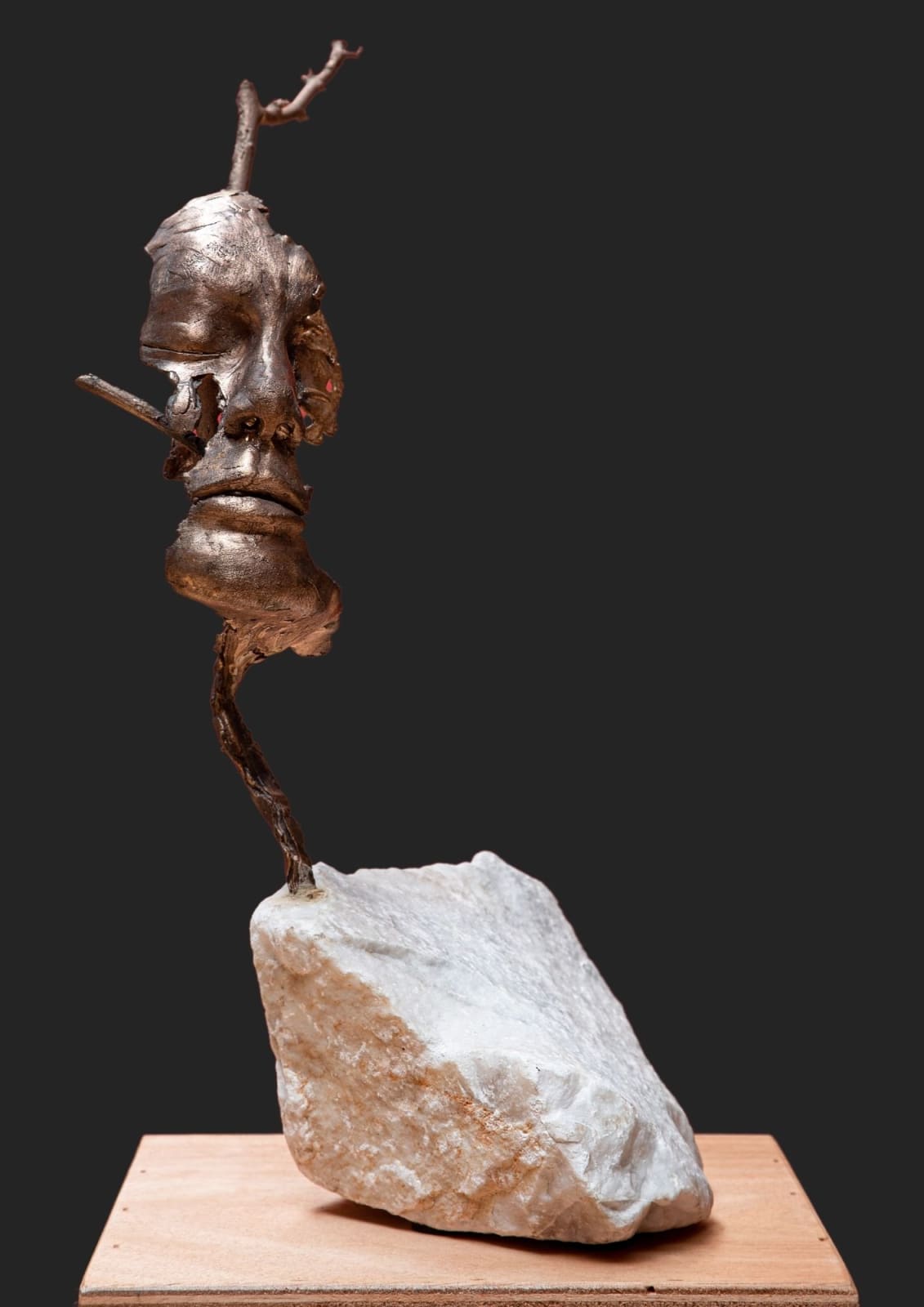 Pablo Damian Cristi, Corteccia II, 2023