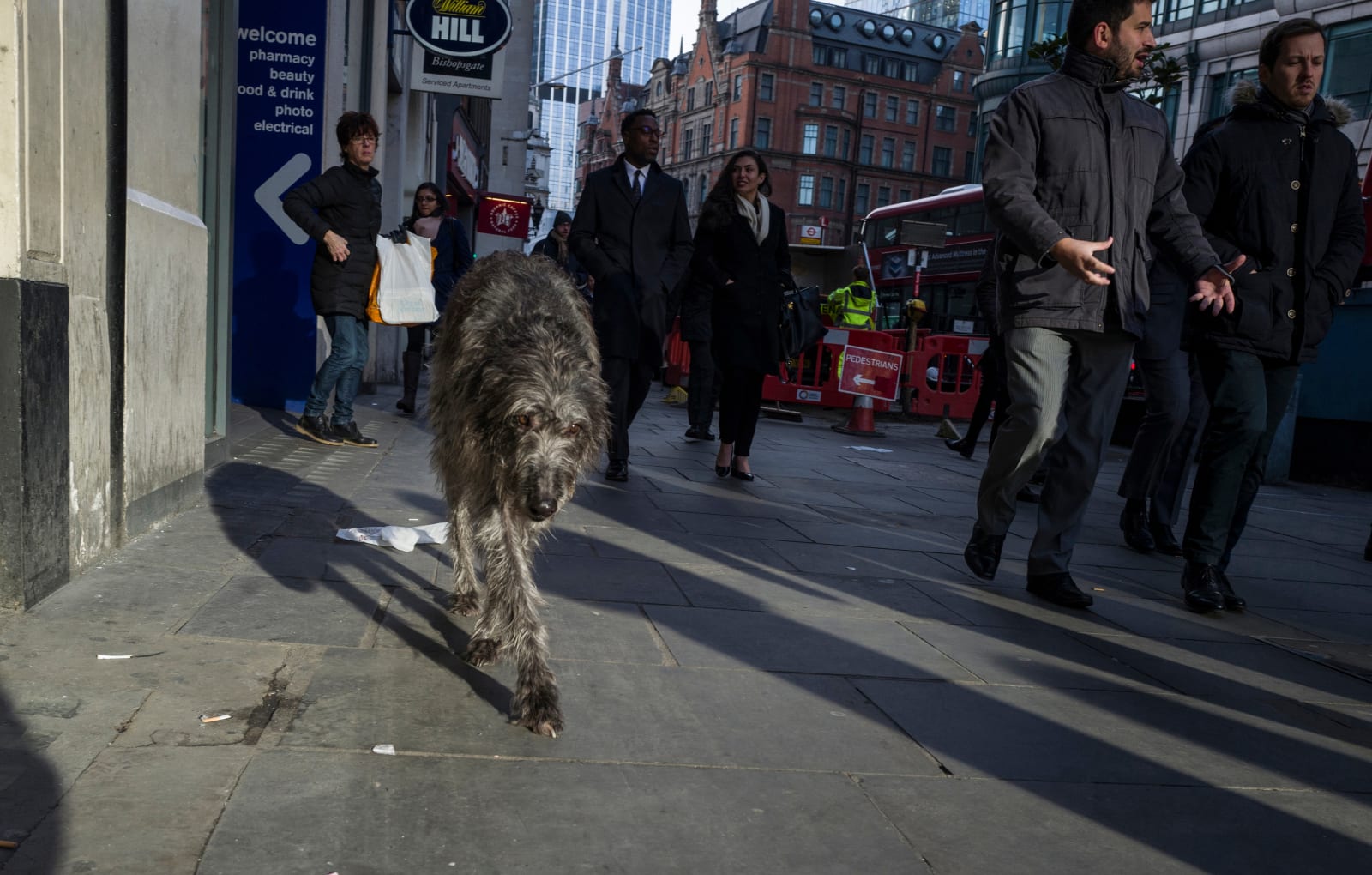 Andy Hall, Wolf of Liverpool Street, 2017