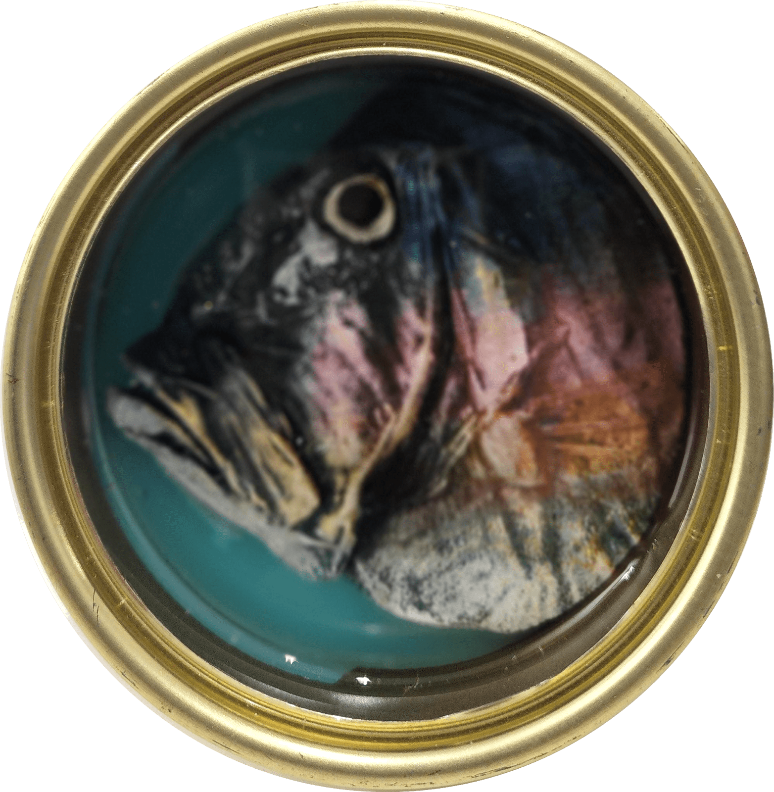 Ortaire de Coupigny, Sardines XXII