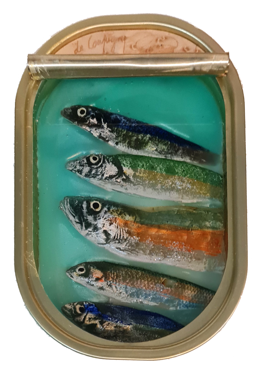 Ortaire de Coupigny, Sardines #15